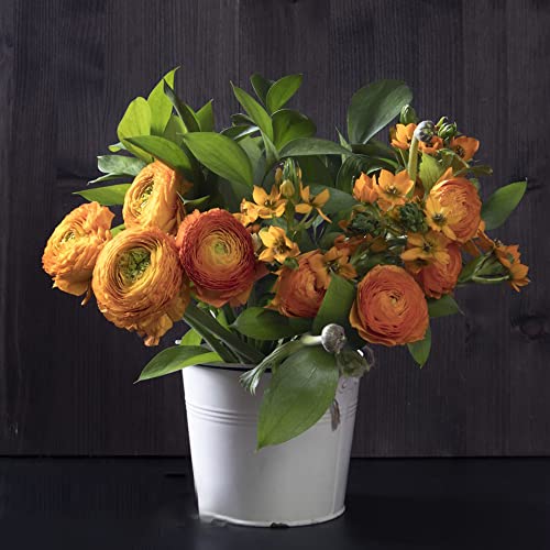 Ranunkeln Zwiebeln Blumenzwiebeln MehrjäHrig Winterhart Zimmerpflanzen Butterblumen Zierlauch Zwiebeln FrüHlingsblüHer Buttercup Zwiebeln Frisch Balkon Deko Blumen 5 Ranunkeln Zwiebel Orange von BRKENT