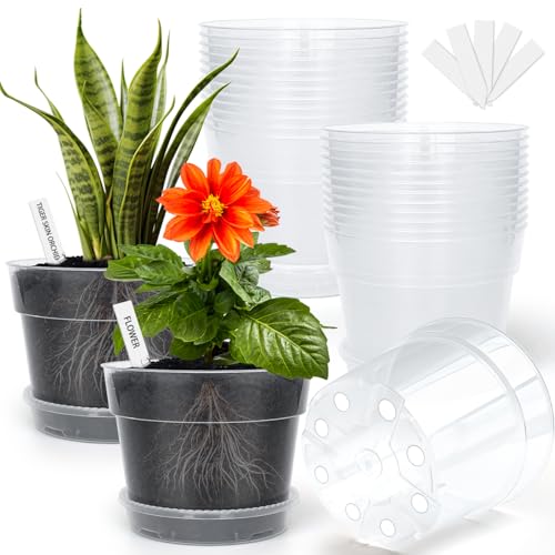 BTPLASTIK 15,2 cm transparente Anzuchttöpfe, 15 Packungen, Umpflanzungstöpfe mit auslaufsicheren Gitter-Pads, Kunststoff-Pflanzgefäße mit Drainage, geeignet für Samenstarter und Gartenarbeit im Freien BTPLASTIK 15,2 cm transparente Anzuchttöpfe, 15 Packungen, Umpflanzungstöpfe mit auslaufsicheren Gitter-Pads, Kunststoff-Pflanzgefäße mit Drainage, geeignet für Samenstarter und Gartenarbeit im Freien von BTPLASTIK