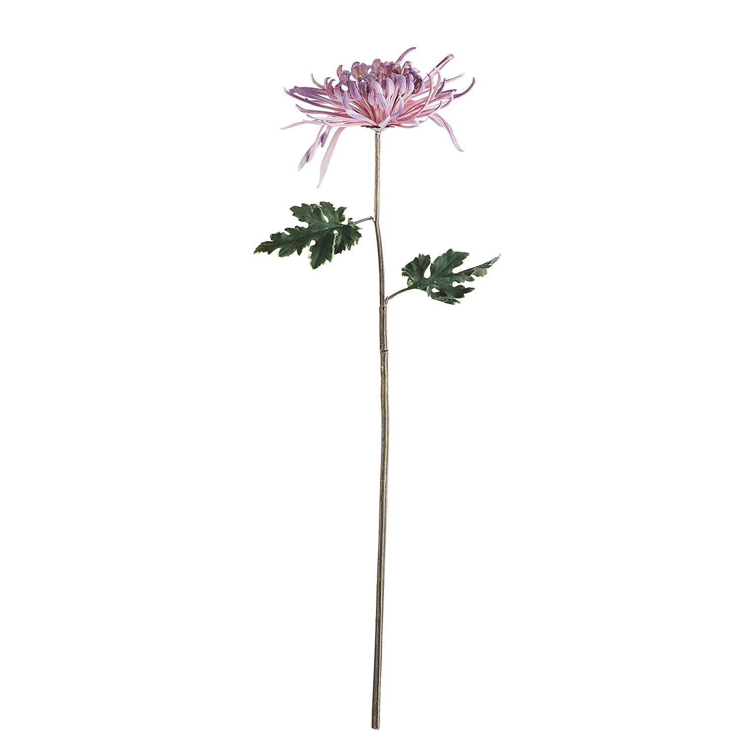 Kunstblume FLORISTA Chrysantheme von BUTLERS