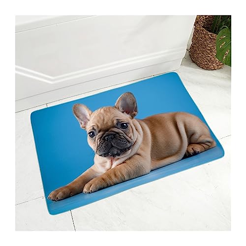BUUNHI Fußmatte Fußmatte Dekor Haustier Hund Tier Bodentürmatte für Flur Schlafzimmer Flanell Teppich 40x60cm Türmatte (Color : 15, Size : 40cmx60cm) von BUUNHI