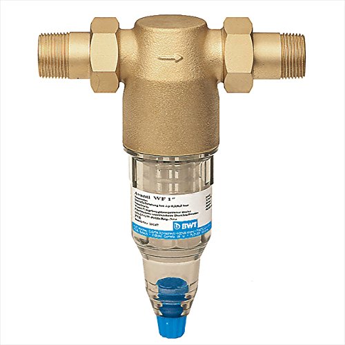 BWT Schutzfilter Avanti WF 1" DN 25 Wasserfilter 50063, Filter von BWT