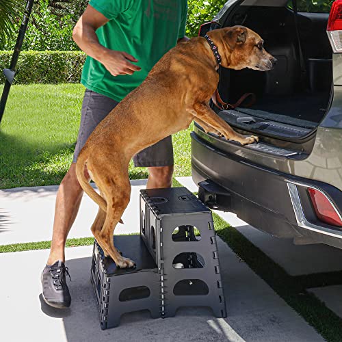 Bee Neat Hunde-Treppe, zusammenklappbar, tragbar, für große, mittlere und kleine Hunde, ideal für Hochbett, Auto, SUV und mehr von Bee Neat