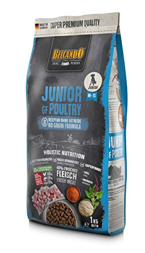 Belcando Junior GF Poultry [1 kg] getreidefreies Hundefutter | Trockenfutter ohne Getreide für Junge Hunde | Alleinfuttermittel für Hunde ab 4 Monaten von Belcando