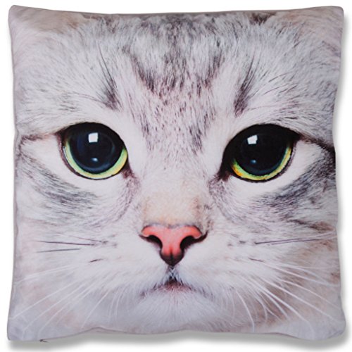 Bestlivings 2er Set Kissenbezug Fotodruck Motiv in 40x40 cm, Flauschig weiche Kissen-Hülle im Doppelpack mit Foto-realistischen Digitaldruck, in vielen Motiven erhältlich (Design: Katze) von Bestlivings