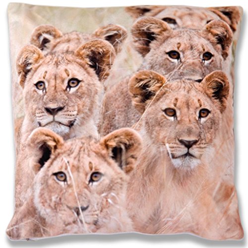 Bestlivings 2er Set Kissenbezug Fotodruck Motiv in 40x40 cm, Flauschig weiche Kissen-Hülle im Doppelpack mit Foto-realistischen Digitaldruck, in vielen Motiven erhältlich (Design: Panda) von Bestlivings