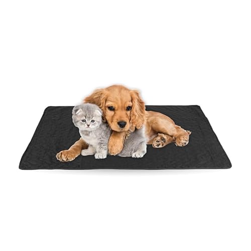 Haustiermatte - weiche warme Haustierdecken ÖKO-TEX 100 perfekt für Katzen bis große Hunde - S-XL - Steppdecke für Sofa/Bett - Schutz Haustiermatte - weiche warme Haustierdecken ÖKO-TEX 100 perfekt für Katzen bis große Hunde - S-XL - Steppdecke für Sofa/Bett - Schutz von Bestlivings