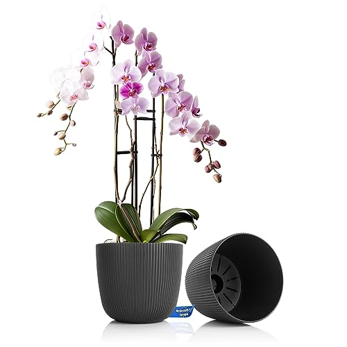 BigDean 2 Stück Blumentopf rund Übertopf Ø15 x H13 cm 1,8L Volumen – wetterfester Pflanztopf – mit Drainage-System aus bruchsicherem Kunststoff – Indoor + Outdoor geeigent – Made in Europe von BigDean