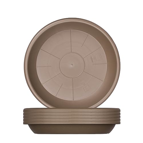 BigDean 6x Blumentopf Untersetzer Ø 19 cm Farbe Taupe Kunststoff Blumenuntersetzer Blumentopfuntersetzer passend zu Ø 20 cm Blumentöpfen von BigDean