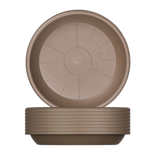 BigDean 9x Blumentopf Untersetzer Ø 19 cm Farbe Taupe Kunststoff Blumenuntersetzer Blumentopfuntersetzer passend zu Ø 20 cm Blumentöpfen von BigDean