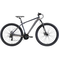 Bikestar Mountainbike, 21 Gang, Shimano, RD-TY300 Schaltwerk, Kettenschaltung, für Damen und Herren, Kettenschaltung von Bikestar