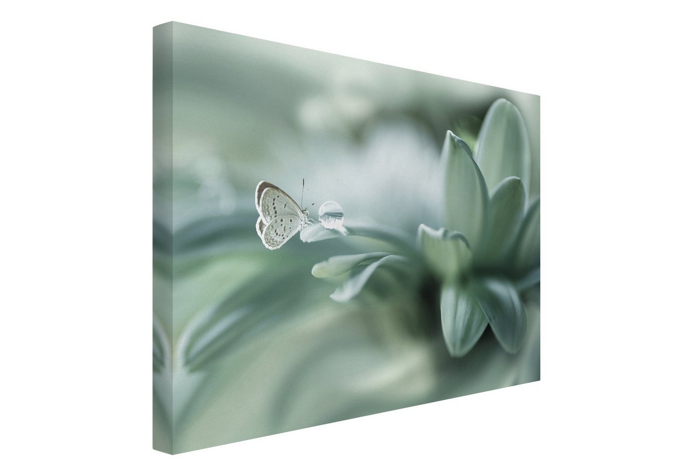 Bilderdepot24 Leinwandbild Blumen Modern Natur Schmetterling pastell Bild auf Leinwand Groß XXL, Bild auf Leinwand, Leinwanddruck in vielen Größen von Bilderdepot24