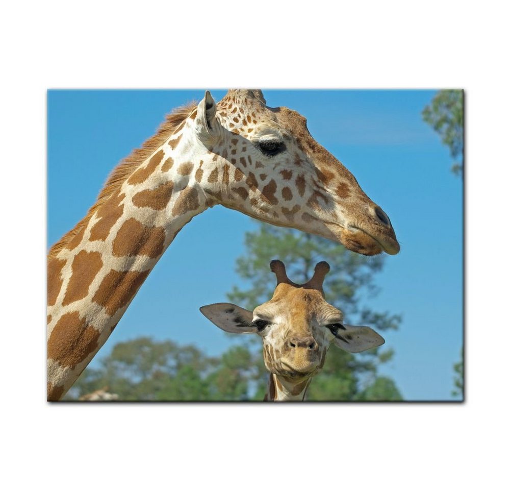Bilderdepot24 Leinwandbild Mutter und Baby Giraffe, Tiere von Bilderdepot24