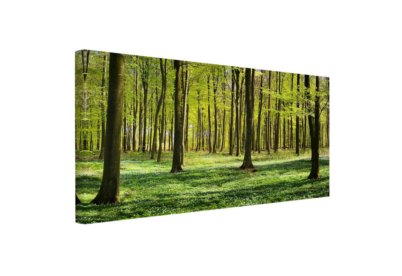 Bilderdepot24 Leinwandbild Wald Natur Landschaft Modern Waldwiese grün Bild auf Leinwand XXL, Bild auf Leinwand, Leinwanddruck in vielen Größen von Bilderdepot24