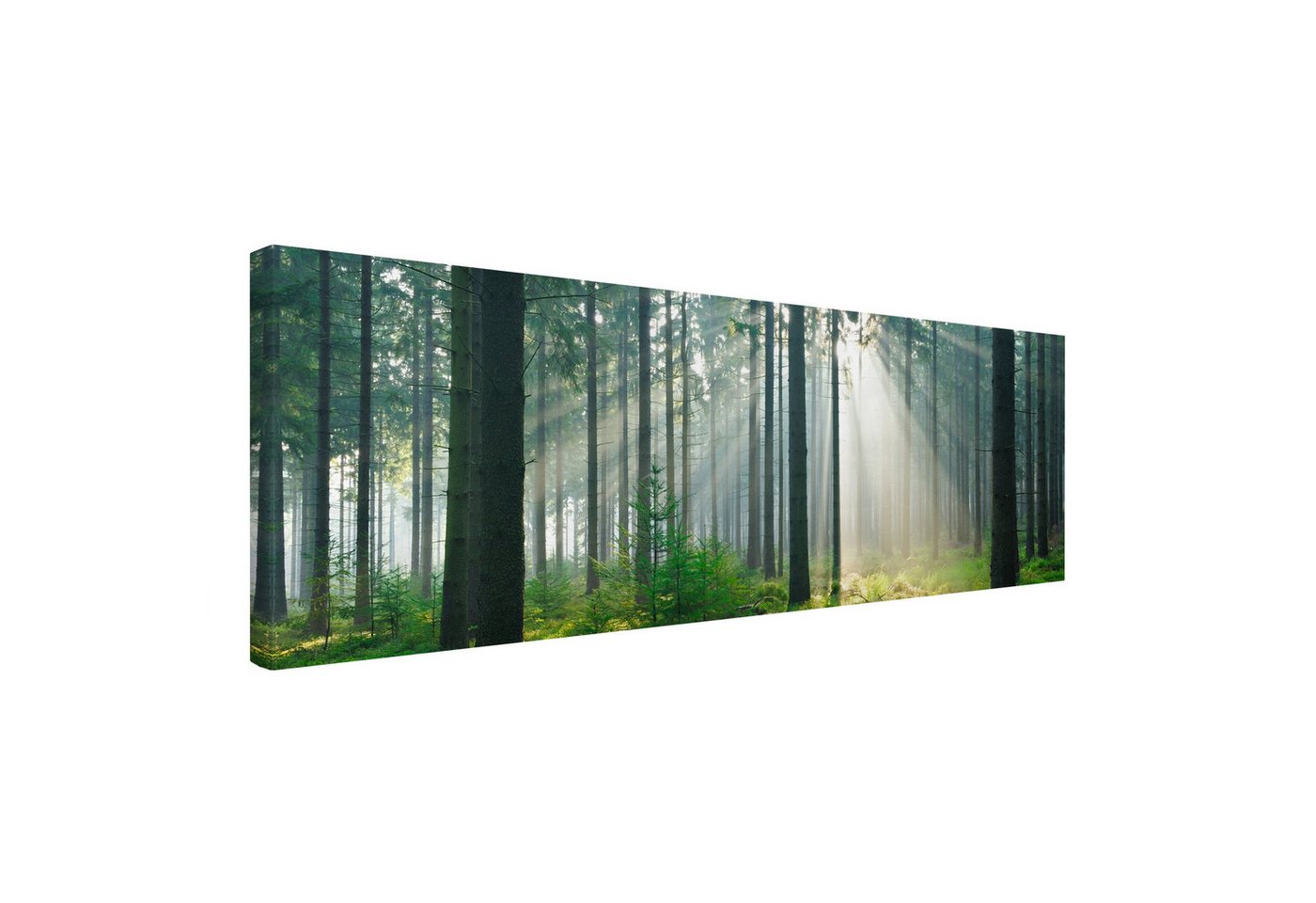 Bilderdepot24 Leinwandbild Wald Natur Modern Enlightened Forest grün Bild auf Leinwand Groß XXL, Bild auf Leinwand, Leinwanddruck in vielen Größen von Bilderdepot24