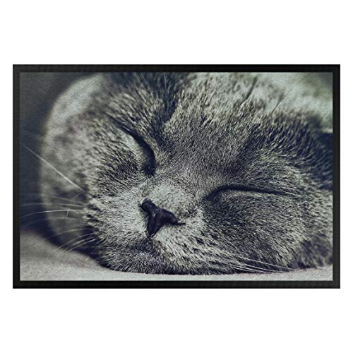 Bilderwelten Fußmatte Gummi Türvorleger Innen - Außenbereich Schlafende Katze 40 x 60 cm von Bilderwelten