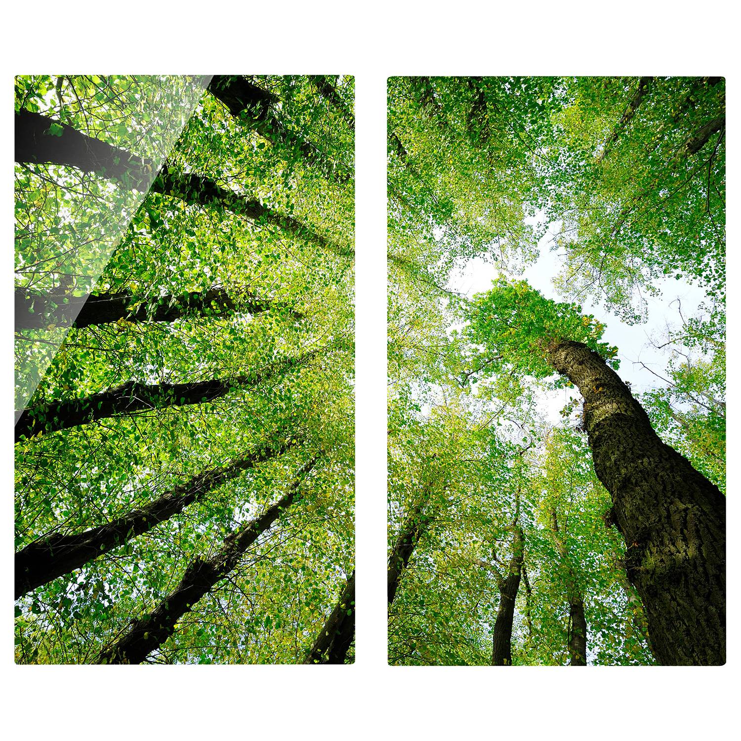 Herdabdeckplatte Bäume des Lebens von Bilderwelten