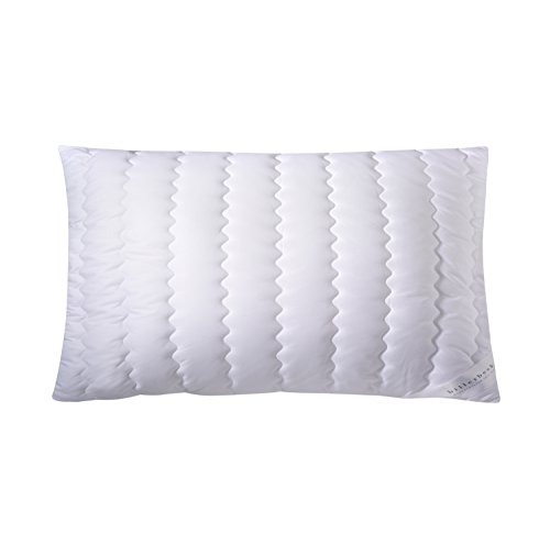 billerbeck Kopfkissen S20 - Kissen in 40 x 80 cm – Faserkissen mit mittlerer Stützkraft - FLOCKIS-Faserbällchen, 100 % Polyester billerbeck Kopfkissen S20 - Kissen in 40 x 80 cm – Faserkissen mit mittlerer Stützkraft - FLOCKIS-Faserbällchen, 100 % Polyester von Billerbeck