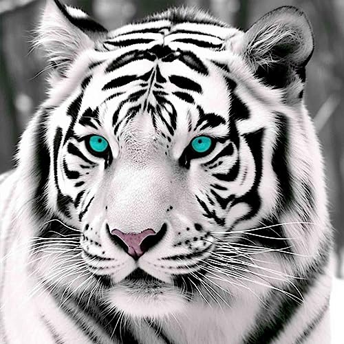 Bimkole DIY 5D Diamond Painting Zubehör Blauäugiger Weißer Tiger, Tier Diamant Malerei Kit Voll Runde Bohrer Malen nach Zahlen Malerei Stickerei Kreuzstich Diamond Dekoration 30X30 cm von Bimkole