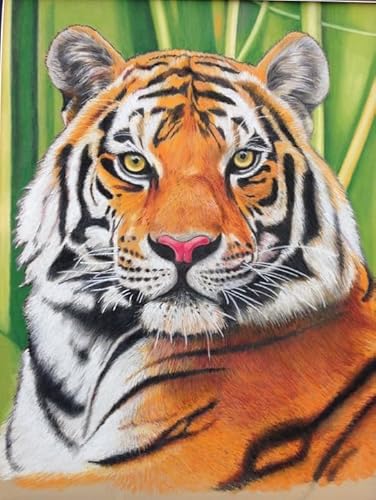 Bimkole DIY 5D Diamond Painting Zubehör Gelber Tiger, Tier Diamant Malerei Kit Voll Runde Bohrer Malen nach Zahlen Malerei Stickerei Kreuzstich Diamond Dekoration 30X40 cm von Bimkole