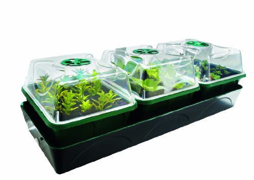 Bio Green Pflanzen-Anzucht-Set „Hollandia“ für die Fensterbank | 3 Separate Klimakammern | integrierte Heizung mit 12,5 Watt | Kapillar-Bewässerungsmatte | 1,4 l Wassertank | B 54 x T 21 x H 17 cm von Bio Green