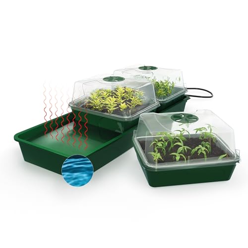 Bio Green Pflanzen-Anzucht-Set „Hollandia“ für die Fensterbank | 3 Separate Klimakammern | integrierte Heizung mit 12,5 Watt | Kapillar-Bewässerungsmatte | 1,4 l Wassertank | B 54 x T 21 x H 17 cm von Bio Green