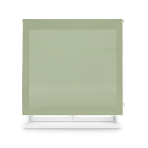 Blindecor Transparentes Rollo nach Maß | Rollo nach Maß | Pastellgrün | 65 x 175 cm (Breite x Höhe) Stoffgröße 62 x 170 cm | lichtdurchlässige Rollos für Fenster von Blindecor