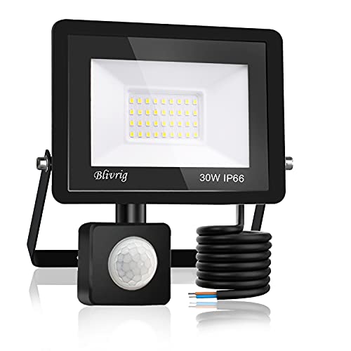 Blivrig LED Strahler mit Bewegungsmelder Außen 30W Kaltweiss, Fluter mit Bewegungssensor, Superhell 3000LM Aussenstrahler, IP66 Wasserdicht Scheinwerfer, für Garten, Garage (Kaltes Weiß, 30W) von Blivrig