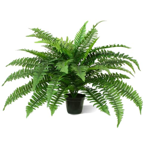 BloomPost Boston Fern Deluxe Kunstpflanze, 65 cm, dekorativer künstlicher Farn und Bürodekor, Schlafzimmer, Wohnzimmer und Küche von BloomPost