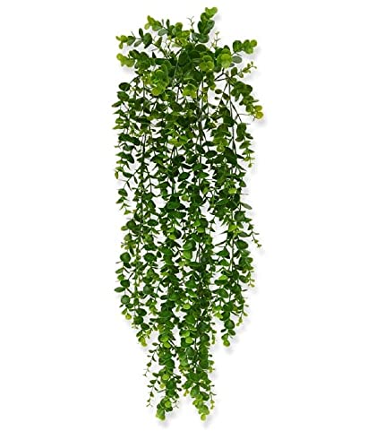 BloomPost Eucalyptus Künstliche Hängepflanze 70 cm - Haustier und kindersicher – Künstliche Zimmerpflanze für Heim und Bürodekoration von BloomPost