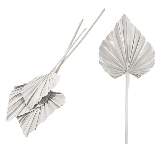 Blumigo Palm Spear geweißt - 12 Stück - getrocknete Palmblätter - Echte Trockenblumen - Farbe Weiß - Natur Deko für die Vase von Blumigo