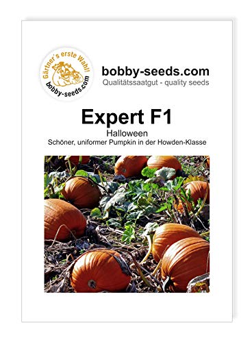 Bobby-Seeds Kürbissamen Expert F1 Portion von Gärtner's erste Wahl! bobby-seeds.com