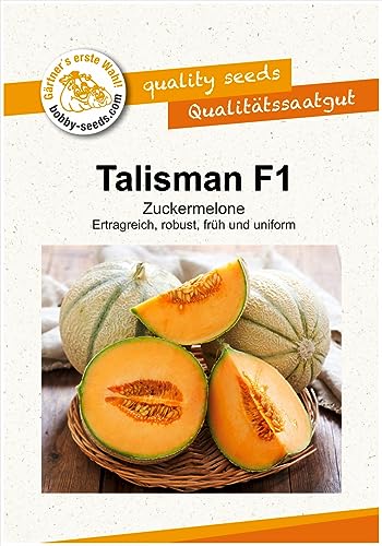 Melonensamen Talisman F1 Zuckermelone Portion von Gärtner's erste Wahl! bobby-seeds.com