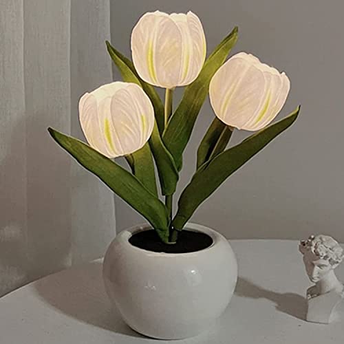 Tulpe Nachtlicht mit Keramikvase Simulation Tulpe LED Tischlichter mit Batterie, Tischlampe Ornamente für Zuhause Wohnzimmer Hochzeit, Geschenkidee (Rosa) von BomKra