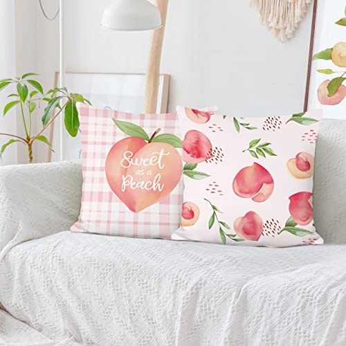 Bonhause 2er Set Kissenbezüge Pfirsiche Rosa 45 x 45 cm Pfirsiche Samt Soft Dekorative Kissenhülle Zierkissenbezüge für Sofa Schlafzimmer Wohnzimmer Zuhause Garten Dekoration von Bonhause