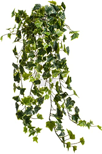 künstlicher Efeu Hängebusch, Kunstpflanze Holland Efeu ca. 100 cm lang, Farbe: grün-Creme von Botanic-Haus