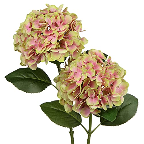 Künstliche Hortensie Blumen Real-Touch Kunstblumen Wie Echt Hydrangea Kunstzweige Blumengesteck für Bürotischen, Hotels, Rezeptionen, Wartezimmer, Esstische, Cafes Dekoration, 2 Stück von Briful