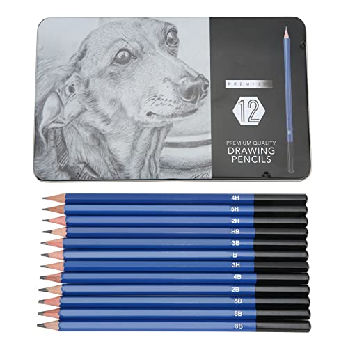 12 Stück Professionelles Kunst Zeichenstift Set, Bleistift Set mit Aufbewahrungsbox, 165mm 5H - 8B 12 Verschiedene Skizzenstift Test Kohlestifte Bleistift Sketch Mäppchen für Anfänger und Studenten von Buachois