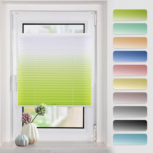 Plissee mit Farbverlauf 60x120cm(BxH) Grün-Weiß plissees klemmfix ohne Bohen Blickdicht Faltrollo Lichtdurchlässig Rollos für Fenster ohne Bohren von Buseu