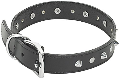 CHAPUIS SELLERIE SLA049 Hundehalsband - Leder-Imitat schwarz mit Nieten - Breite 25 mm - Länge 55 cm - Größe L von CHAPUIS SELLERIE