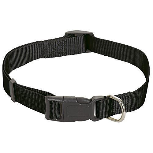 CHAPUIS SELLERIE SLA180 Verstellbares Hundehalsband - Nylongurt schwarz - Breite 15 mm - Länge 35-50 cm - Größe S von CHAPUIS SELLERIE