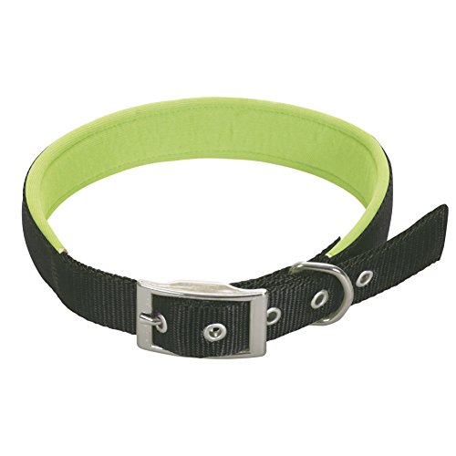 CHAPUIS SELLERIE SLA260 Hundehalsband - Komfort-Nylongurt schwarz - Breite 15 mm - Länge 35 cm - Größe S von CHAPUIS SELLERIE