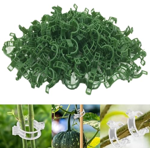 200 Stück Praktischer Pflanzenstützclip, Kunststoff Tomatenclips Ranken Clips, Pflanzenclips für Kletterpflanzen, Pflanzenstützen für Garten, Pflanzenklammern für Tomaten, Rosen, Pflanzen (Grün) von CHENRI