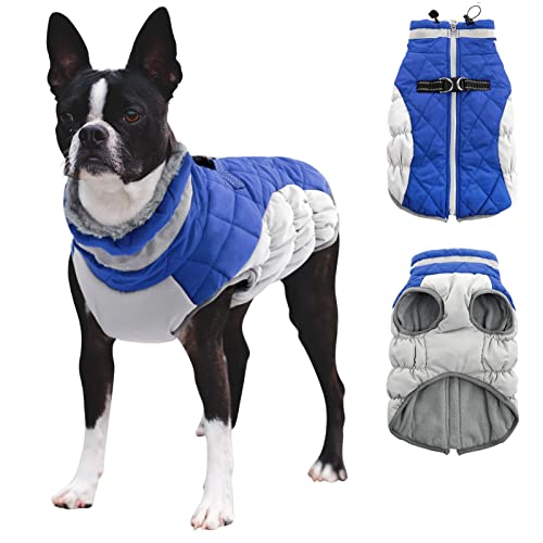 CITÉTOILE Hundemantel Winter,Hundejacke mit Geschirr, Wasserdicht Hundemantel mit Fleece Gefütterte für Kleine Hunde Warme Hundeweste mit Reflektierend für Kleine Mittel Grosse Hunde, Blau, M von CITÉTOILE