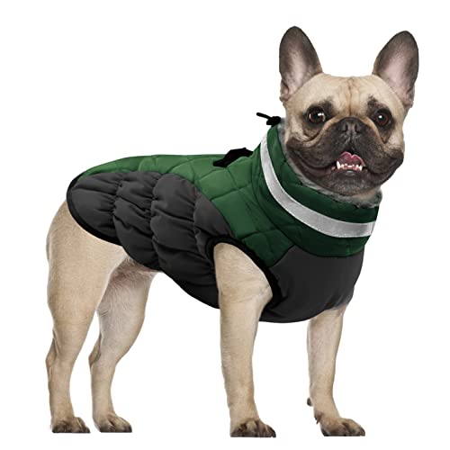 CITÉTOILE Hundemantel Winter,Hundejacke mit Geschirr, Wasserdicht Hundemantel mit Fleece Gefütterte für Kleine Hunde Warme Hundeweste mit Reflektierend für Kleine Mittel Grosse Hunde, Grün, S von CITÉTOILE