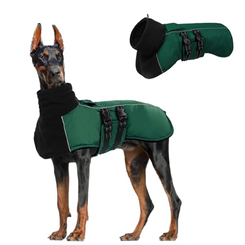 CITÉTOILE Hundemantel Winter Warmer, Hundejacke mit Hohem Kragen und Reflektierenden Streifen, Wasserdichter Wintermantel Hund mit Doppelschnalle und Klettverschluss, Grün, L von CITÉTOILE