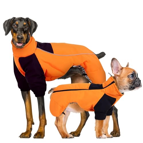 CITÉTOILE Winter Hundemantel, Hunde Wasserdichter Wintermantel, Outdoor Hundejacke mit Reflektierender Streifen, Winterwarme Hundekleidung mit Selbsterwärmender Innenstoff, Orange, L von CITÉTOILE