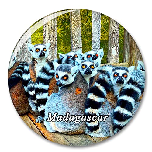 Madagaskar Kühlschrankmagnet Dekorativer Magnet Aufkleber Reise Souvenir Sammlung Tourist Stadt Geschenk Whiteboard Küche von COBREW
