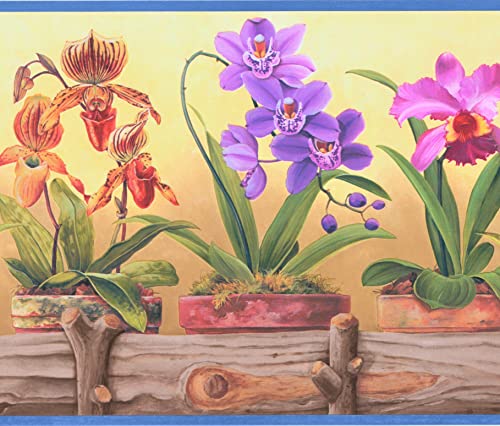 CONCORD WALLCOVERINGS ™ Tapetenbordüre Blumenmuster Blumen in Keramiktöpfen Holzzaun, Gelb Lila Orange Braun Blau, 26,7 cm x 4,1 m CP033113 von CONCORD WALLCOVERINGS ™