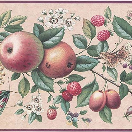 Concord Wallcoverings Tapetenbordüre mit Rankenmuster für den Garten, Obst, Blumen, Äpfel, Birnen, Erdbeeren, Blätter, Beige, Gelb, Rot, Lila, Grün, 17,8 cm x 4,5 m, UL105043 von CONCORD WALLCOVERINGS ™