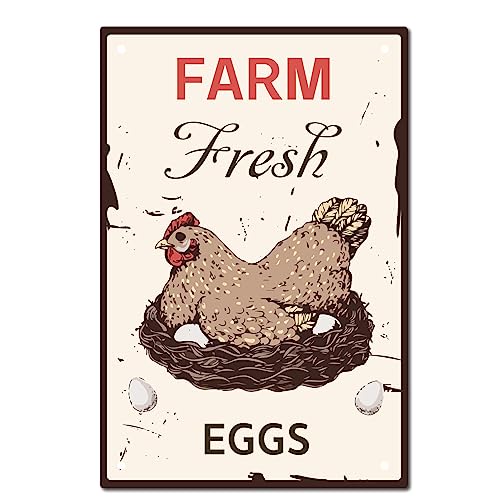 CREATCABIN Blechschild Farm Fresh Eggs Vintage-Metallschilder Malerei Retro-Bauernhaus-Plakette Poster Wandkunst Plakette Für Garten Veranda Badezimmer Küche Café Halloween Weihnachten Dekor 20x30cm von CREATCABIN